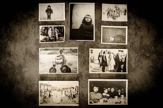 땡땡티비 땡땡티비 최신링크 바로가기