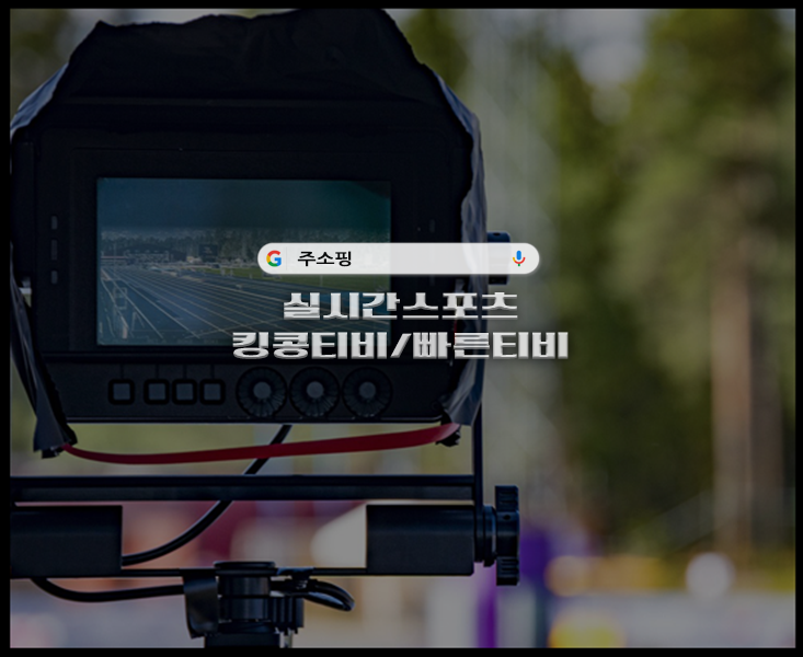무료toon