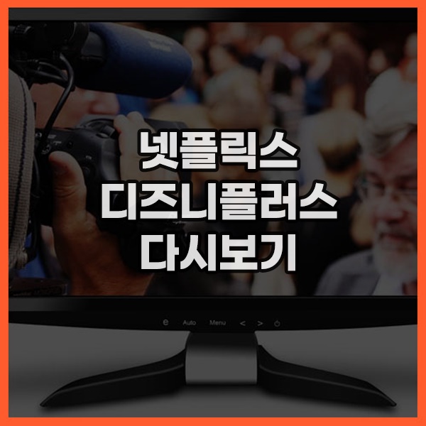 코리아맥스티비 코리아맥스티비 평생도메인 바로가기