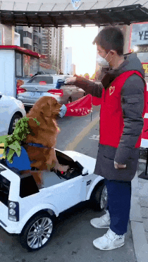 17500321630495.gif