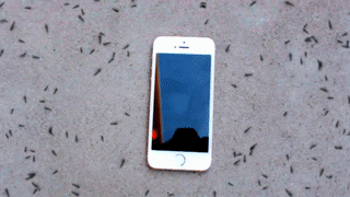 fabf7e5bbac0c4a31cb5cd6f57eeff7f_1495189