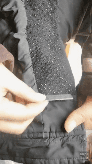 bt31ea7714235de67372c03e44db1a449d.gif