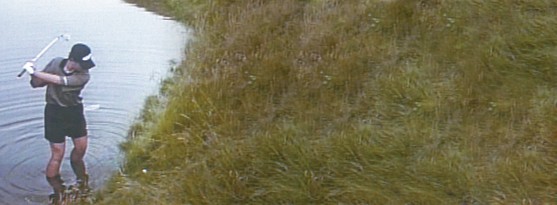17460618086276.jpg