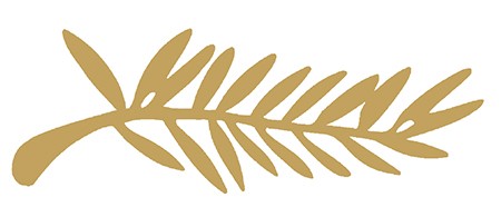 17469768756134.jpg