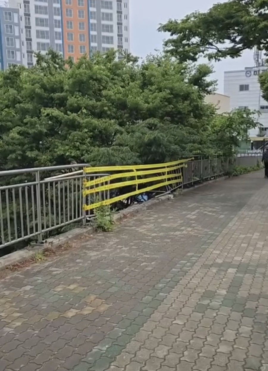 1747394391902.jpg