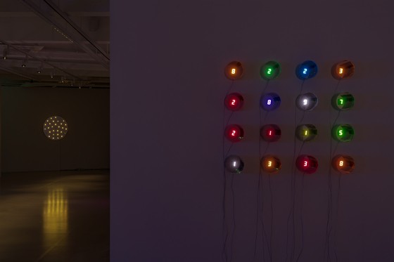 1748318536127.jpg