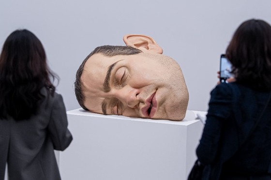 17493636462988.jpg