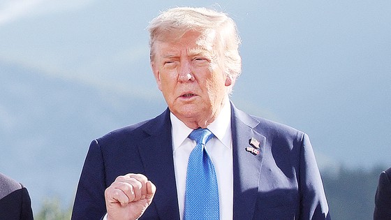 17501520169901.jpg