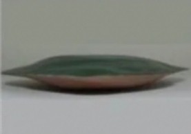 17506452402743.jpg