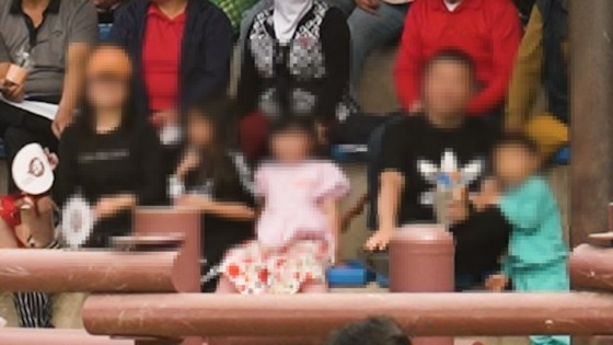 17509188925056.jpg