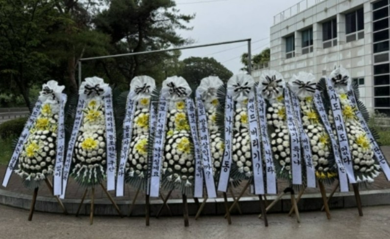 1751012544761.jpg