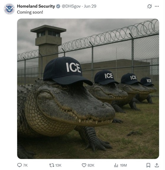 17514182103499.jpg