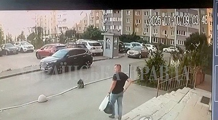 17524487325148.jpg