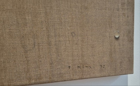 17524741737196.jpg