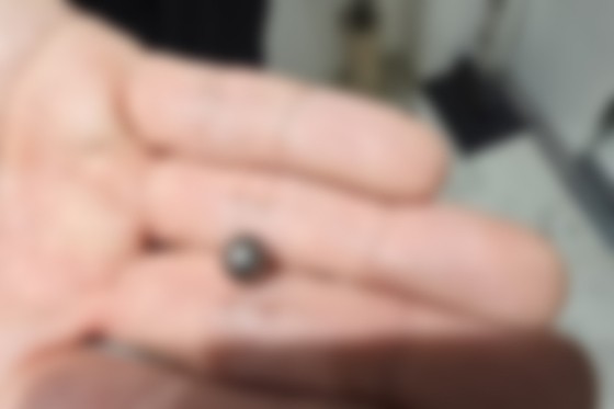 17531290838676.jpg