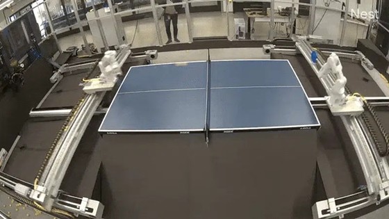 17532695180119.jpg