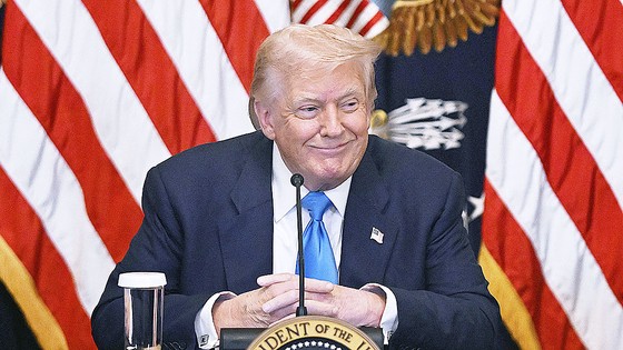 17539824176008.jpg