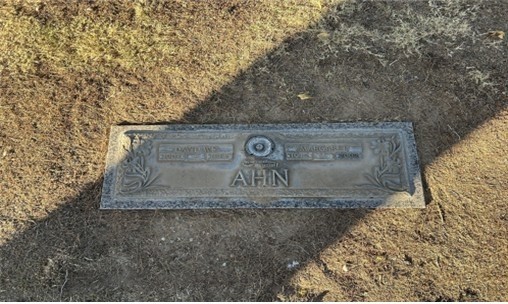 17541911957493.jpg
