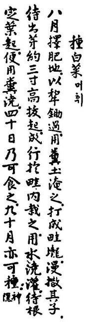 17549687865169.jpg