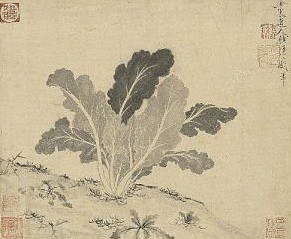 17550157899286.jpg