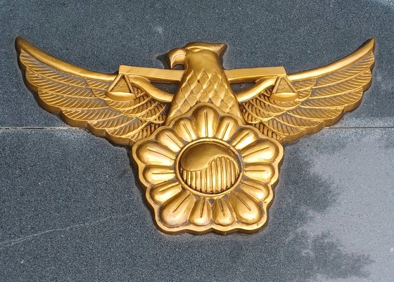 17550732772432.jpg