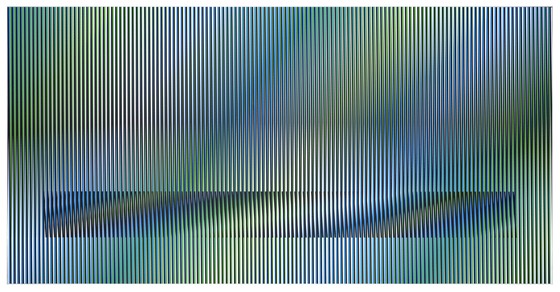 1755620427424.jpg