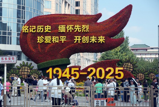 17566283746917.jpg