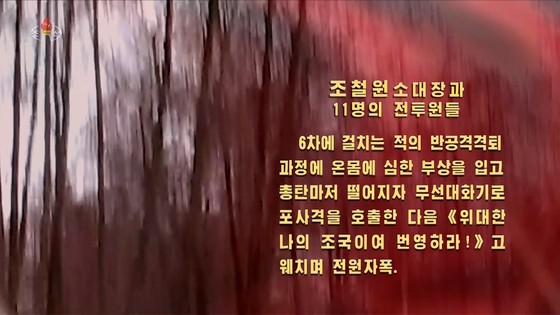 17566966742526.jpg