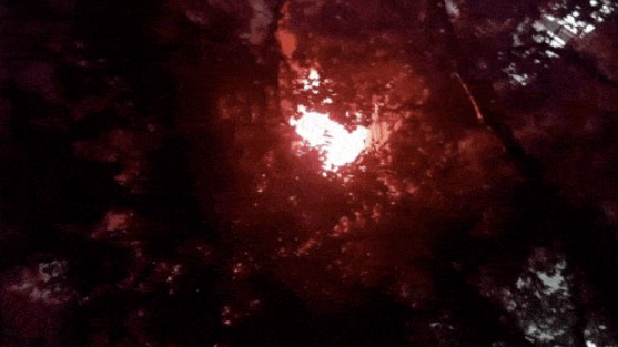 17572331565052.jpg