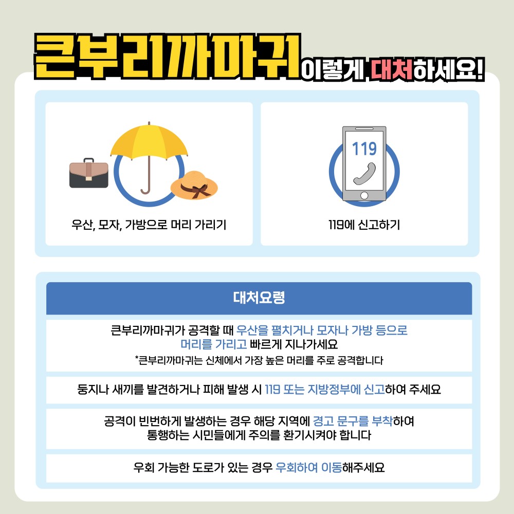 bt35c97accce52ef45ac30dae595a9ad71.jpg